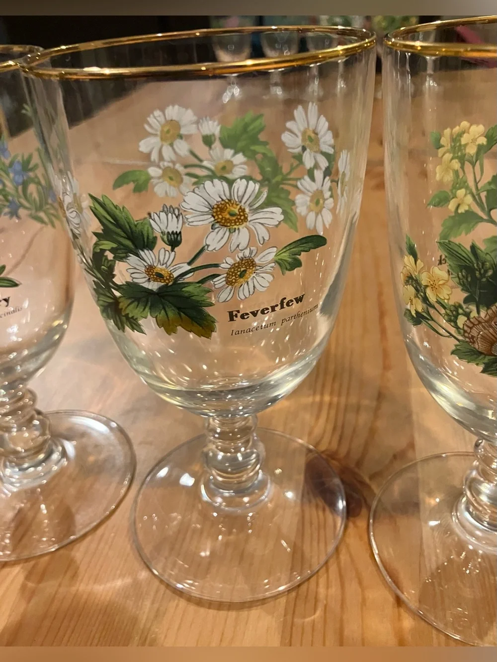 EUC Royal Worchester Herbs Stemmed Water Goblets w/Gold Rim (Set of 4) Vintage